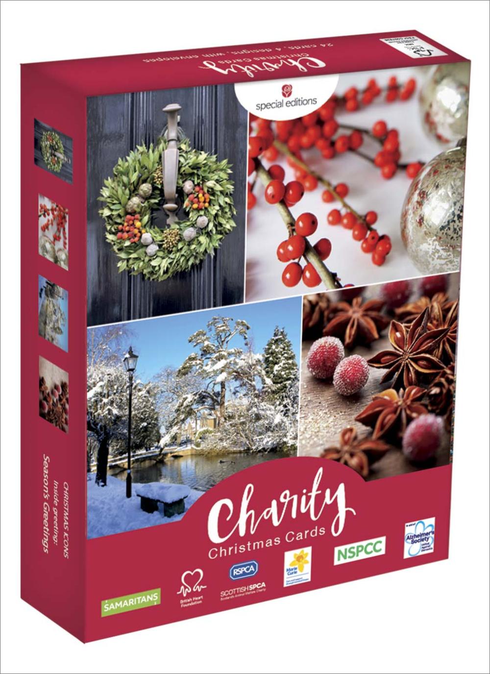 Box of 24 Assorted Festive Fun Multiple Charity Christmas Cards Cards